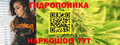 наркотики Дубна