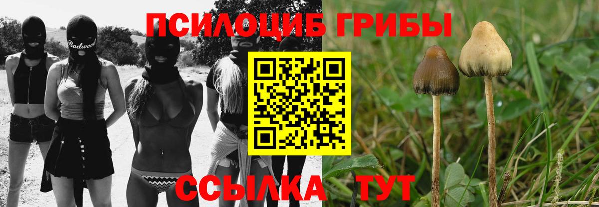 Галлюциногенные грибы мухоморы Лабытнанги